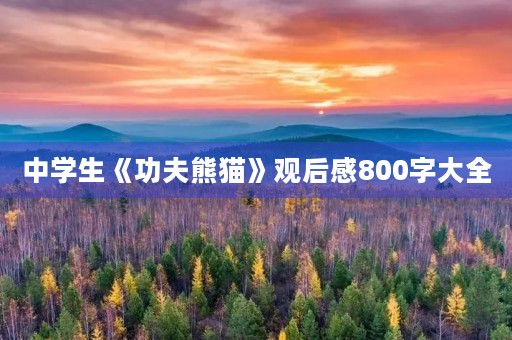 中学生《功夫熊猫》观后感800字大全 中学生《功夫熊猫》观后感800字大全