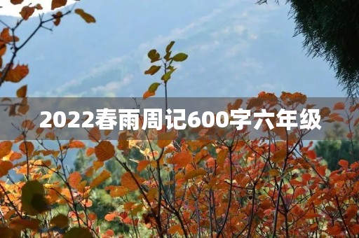 2022春雨周记600字六年级