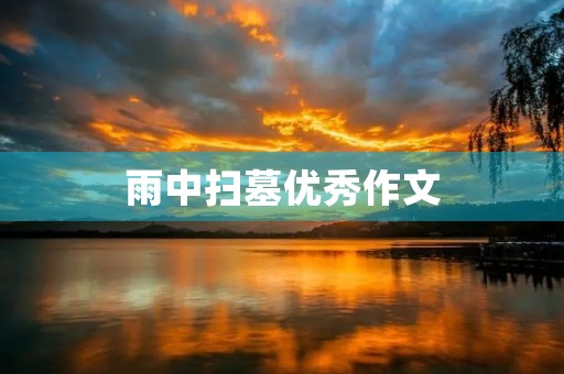 雨中扫墓优秀作文