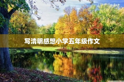 写清明感想小学五年级作文 写清明感想小学五年级作文