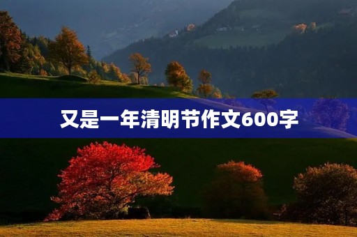 又是一年清明节作文600字 又是一年清明节作文600字
