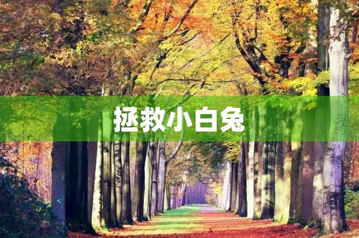 拯救小白兔 拯救小白兔