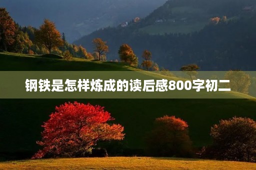 钢铁是怎样炼成的读后感800字初二 钢铁是怎样炼成的读后感800字初二