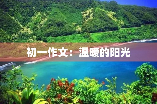 初一作文:温暖的阳光 初一作文:温暖的阳光