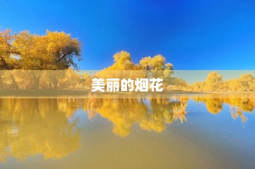 美丽的烟花