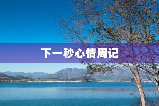 下一秒心情周记 下一秒心情周记