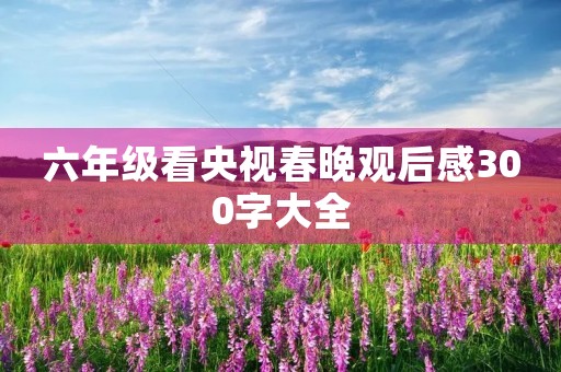 六年级看央视春晚观后感300字大全