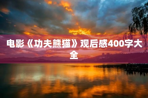 电影《功夫熊猫》观后感400字大全 电影《功夫熊猫》观后感400字大全