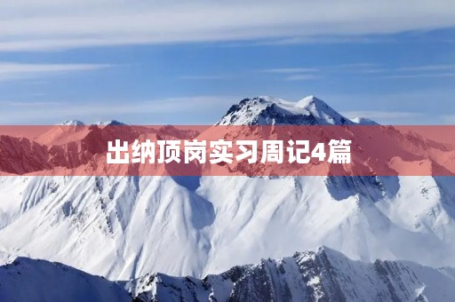 出纳顶岗实习周记4篇 出纳顶岗实习周记4篇