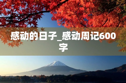 感动的日子_感动周记600字