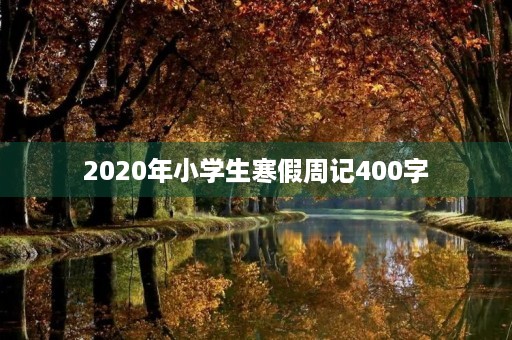 2020年小学生寒假周记400字
