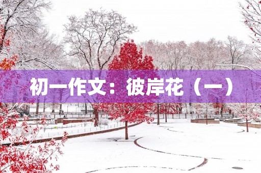 初一作文：彼岸花（一）