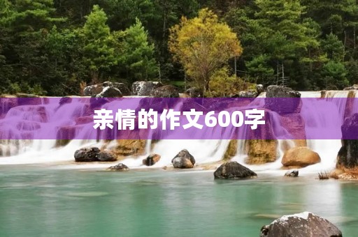亲情的作文600字 亲情的作文600字