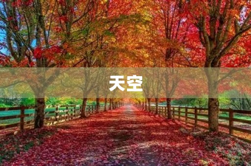 天空