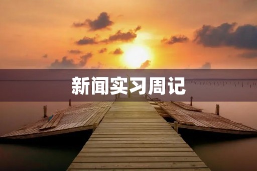 新闻实习周记