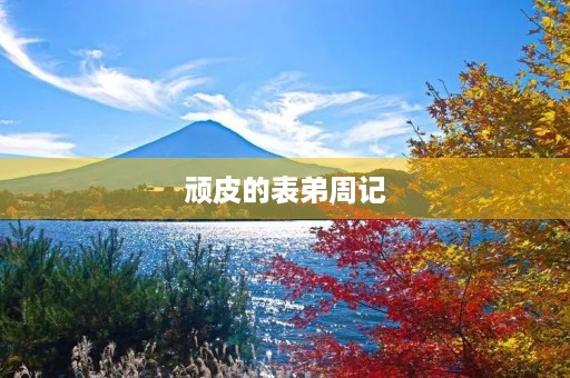 顽皮的表弟周记 顽皮的表弟周记