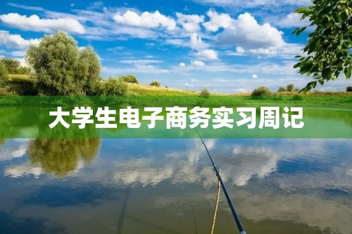 大学生电子商务实习周记