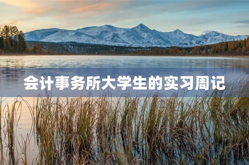 会计事务所大学生的实习周记