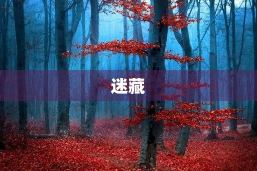 迷藏 迷藏