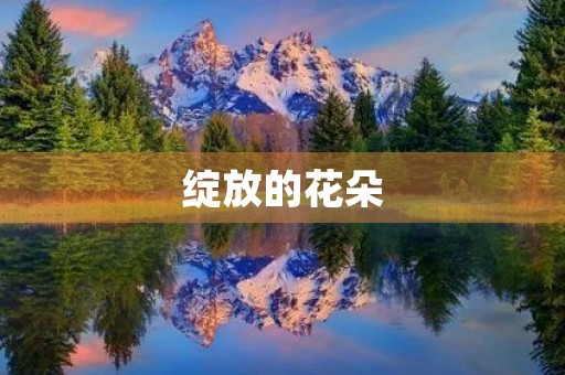 绽放的花朵 绽放的花朵