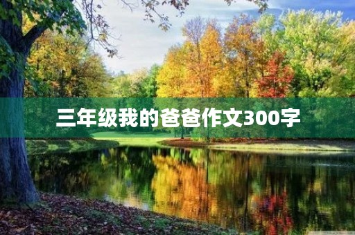 三年级我的爸爸作文300字 三年级我的爸爸作文300字