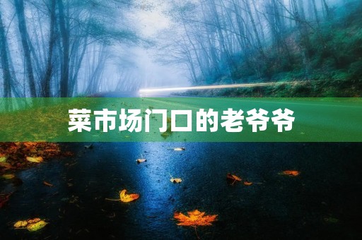 菜市场门口的老爷爷 菜市场门口的老爷爷