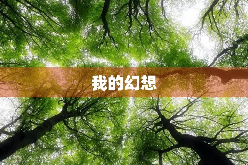 我的幻想 我的幻想