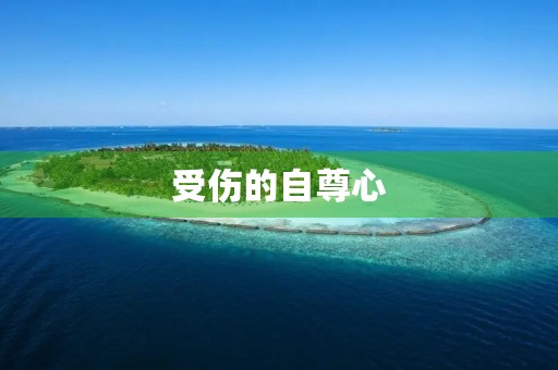 受伤的自尊心 受伤的自尊心