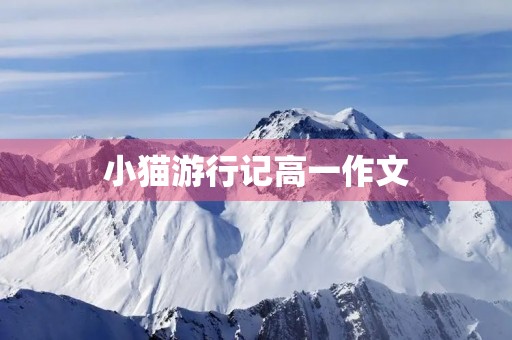 小猫**记高一作文 小猫**记高一作文