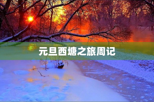 元旦西塘之旅周记 元旦西塘之旅周记