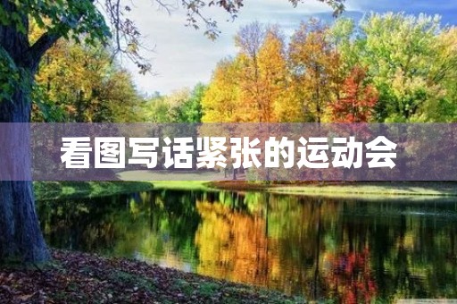 看图写话紧张的运动会 看图写话紧张的运动会