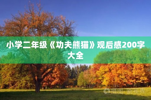 小学二年级《功夫熊猫》观后感200字大全 小学二年级《功夫熊猫》观后感200字大全