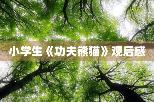 小学生《功夫熊猫》观后感 小学生《功夫熊猫》观后感