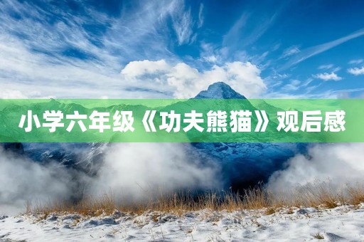小学六年级《功夫熊猫》观后感