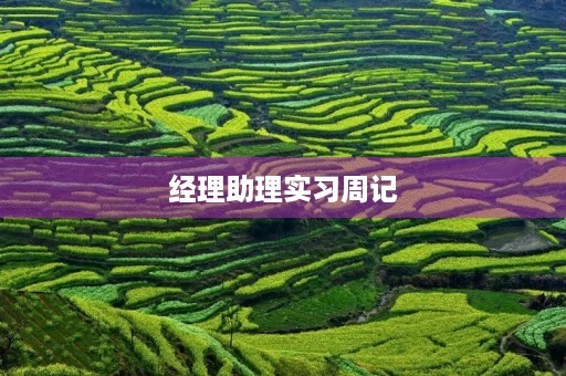 经理助理实习周记