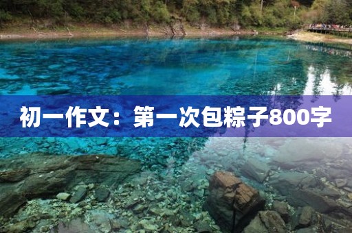 初一作文:第一次包粽子800字 初一作文:第一次包粽子800字