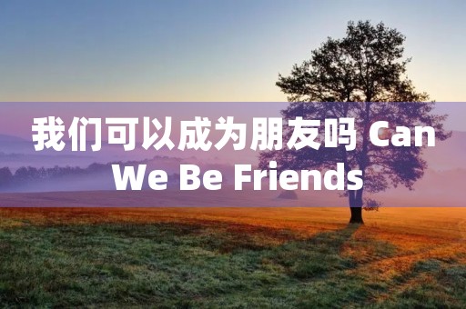 我们可以成为朋友吗 Can We Be Friends 我们可以成为朋友吗 Can We Be Friends