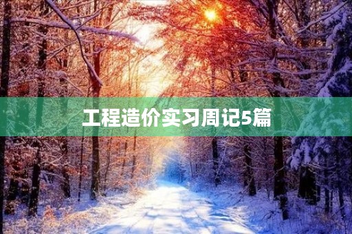 工程造价实习周记5篇 工程造价实习周记5篇