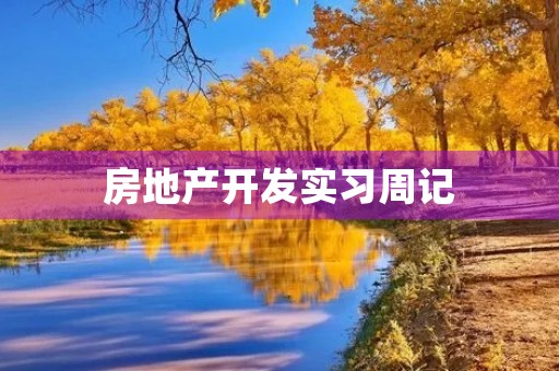 房地产开发实习周记