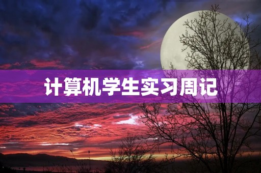 计算机学生实习周记