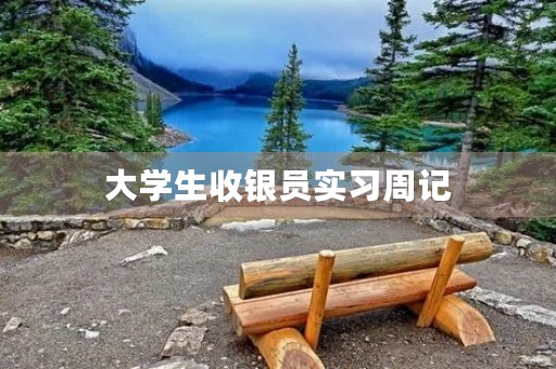 大学生收银员实习周记