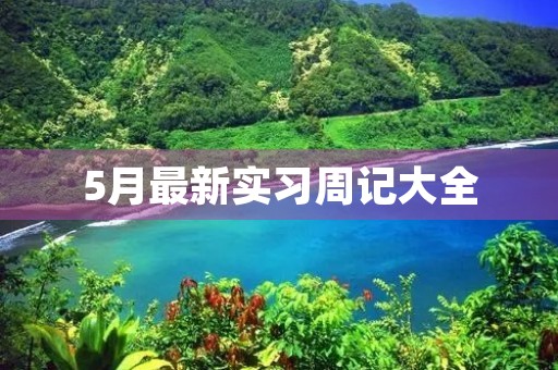 5月最新实习周记大全