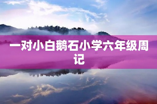 一对小白鹅石小学六年级周记 一对小白鹅石小学六年级周记