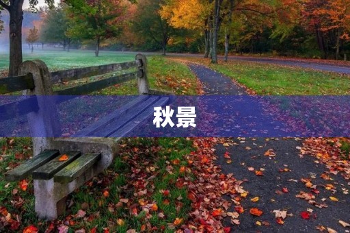 秋景 秋景