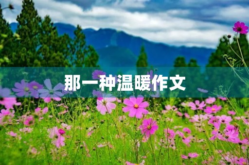 那一种温暖作文 那一种温暖作文
