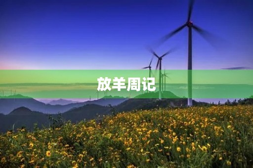 放羊周记 放羊周记