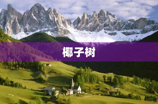 椰子树