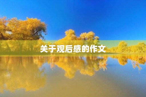 关于观后感的作文