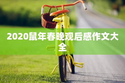 2020鼠年春晚观后感作文大全 2020鼠年春晚观后感作文大全