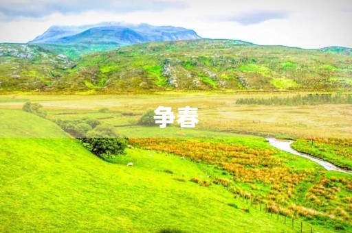 争春 争春